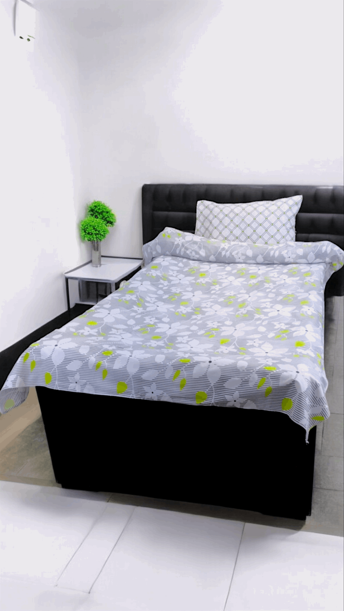 Bedsheet Single - Single-D-4 _ Cotton (Dynasty)